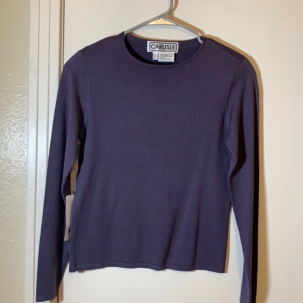 NWT Carlisle Basic Long Sleeve Silk Pullover, S